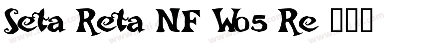 Seta Reta NF W05 Re字体转换